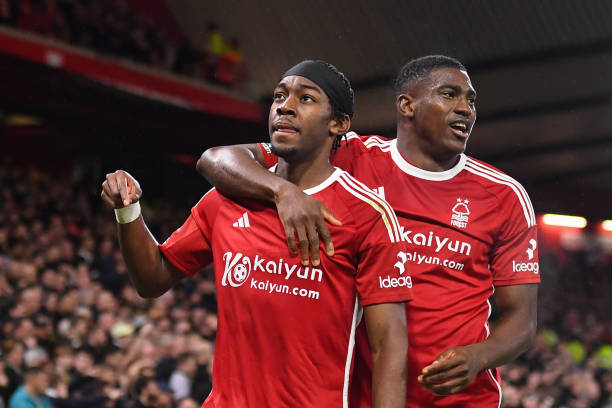 他们致力于 他们致力于